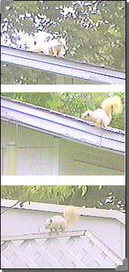 Casper. Big pic=48K
